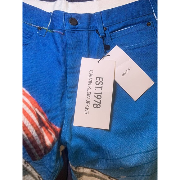 Raf Simons Americana Landscape Denim Jeans - Picture 9 of 12